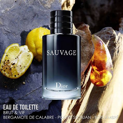 dior sauvage edp 100ml sephora|Dior Sauvage 100 ml douglas.